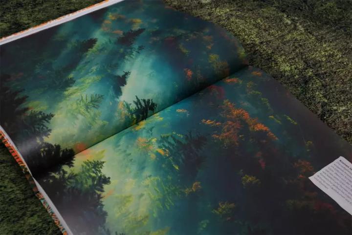 Image du produit Bäume - Eine Natur- und Kulturgeschichte (Allemand, Andrew Mikolajski, Michael Scott, Keith Rushforth, Dr. Ross Bayton, Agnes Pahler, 2022)