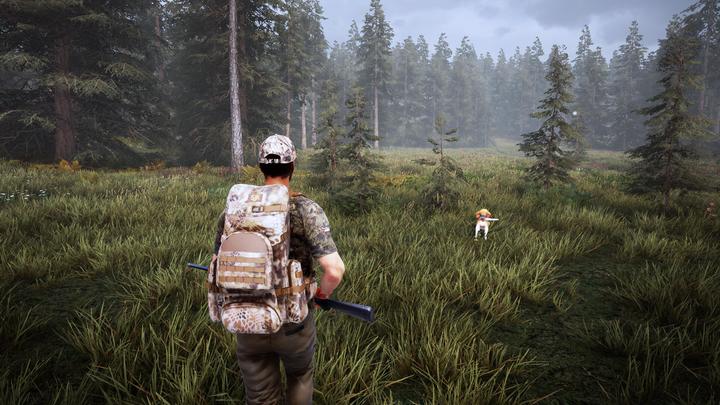 Produktbild Bigben Hunting Simulator 2 (PS4)