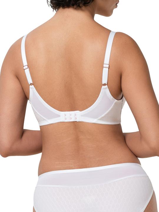 Immagine prodotto Triumph Azalea floreale WP (75 D, Confezione singola)