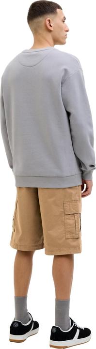 Produktbild Jack & Jones Shorts JPSTCOLE MATEO Cargoshorts (L)