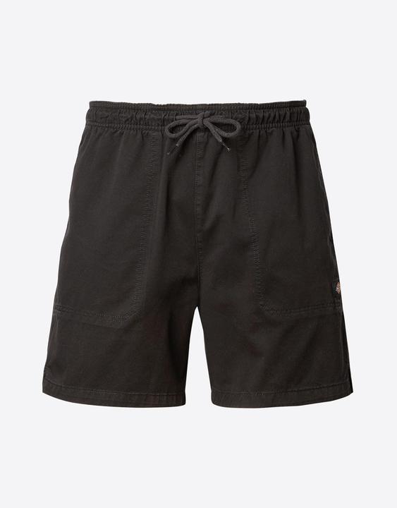 Actual product image Dickies Pelican Rapids fabric shorts - 91859 (S)