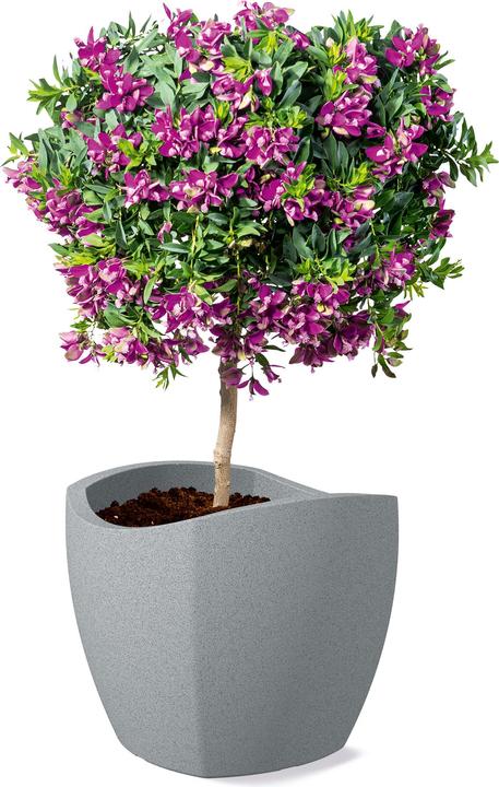 Produktbild Scheurich Wave Globe Cubo (49 cm)