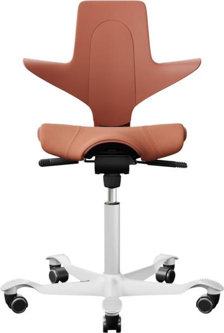 Image du produit HAG Capisco