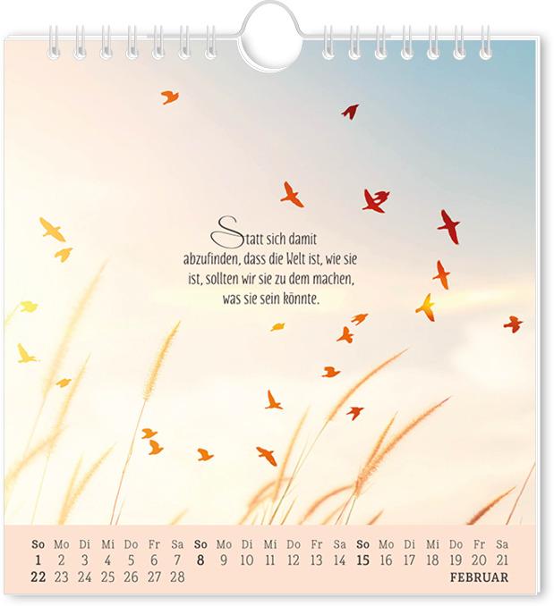 Produktbild Postkartenkalender 2026 Lebenszeichen (16 x 17 cm, Deutsch)