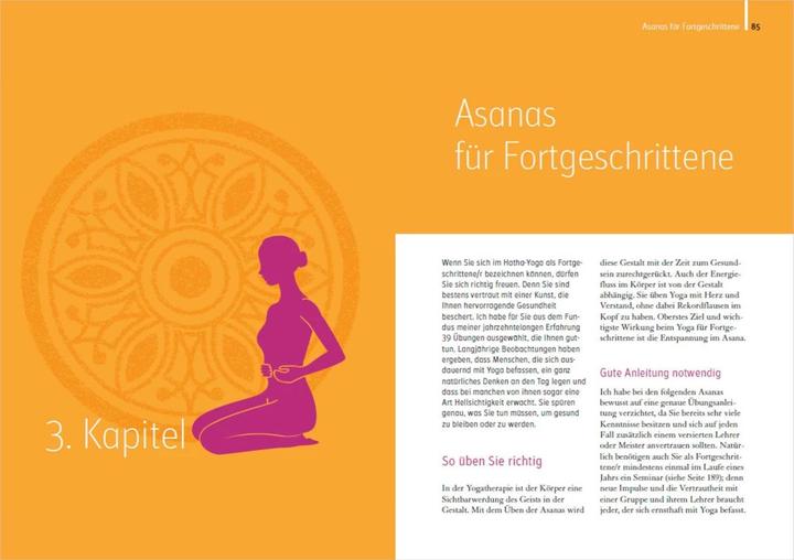 Produktbild Heilkraft Yoga. 100 Übungen für Ihre Gesundheit. Empfohlen von der Deutschen Yogagesellschaft e.... (Deutsch, Sigmund Feuerabendt, 2022)