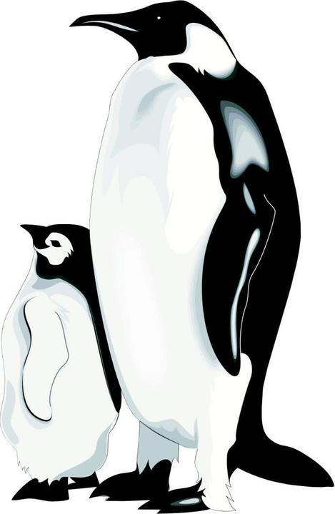 Produktbild Trenddeko Pinguine (60 x 90 cm)