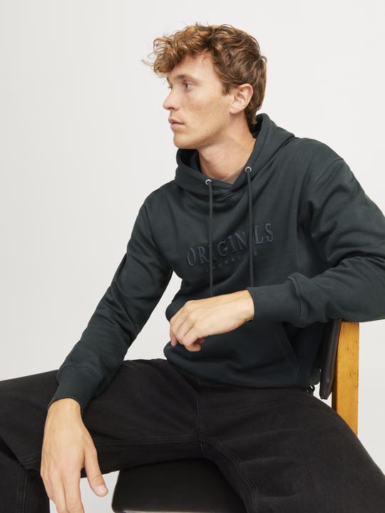 Actual product image Jack & Jones Jorfrederiksberg Sweat Hood Sn (XS)