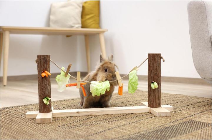 Actual product image Kerbl Rabbit feeding leash with 5 clips