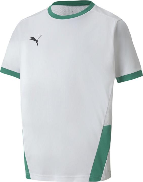 Image du produit Puma teamGOAL 23 Jersey jr-704160 (164)