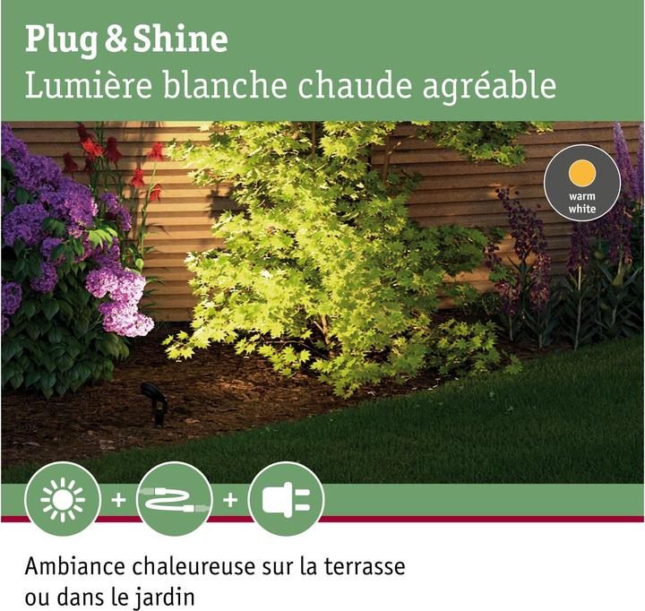 Produktbild Paulmann Outdoor Plug & Shine Sting Spot (655 lm, IP67)