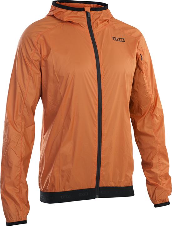 ION Logo Wind