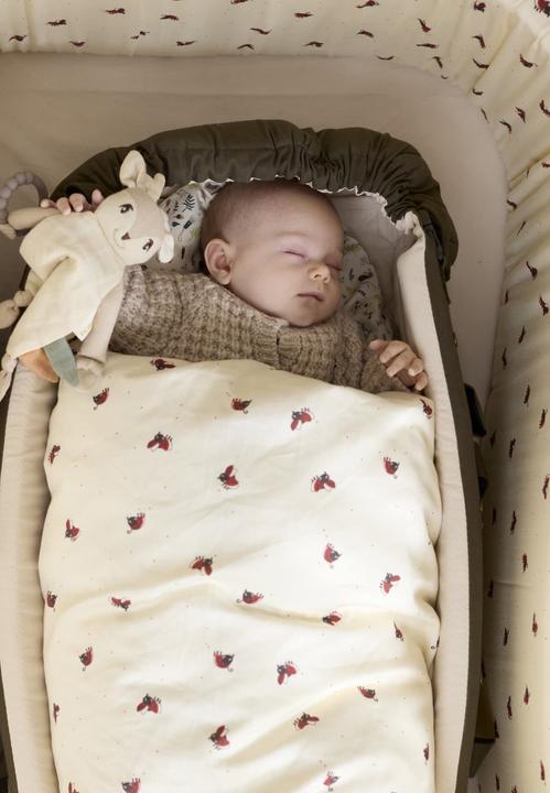 Immagine prodotto Filibabba Biancheria da letto per bambini GOTS (70x100 cm) - Lucky (70 x 100 cm)