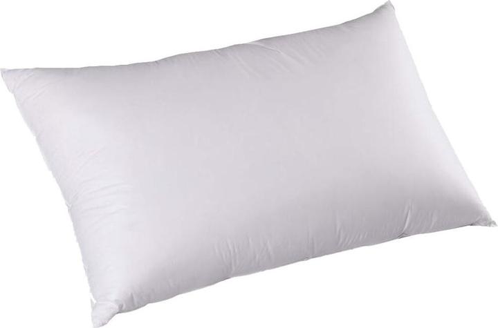 Image du produit DOR Coussin (50 x 70 cm)