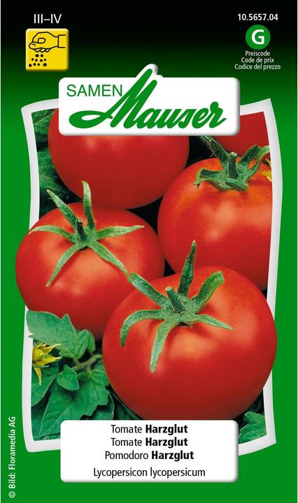 Actual product image Samen Mauser Tomato resin glow (Vegetable seeds)