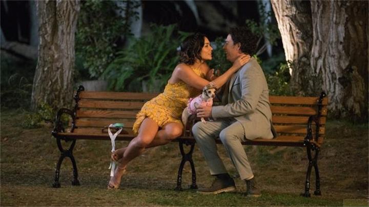 Immagine prodotto Plaion Dog Days - Cuore, cane, happy end! (Blu-ray, 2019, Tedesco)