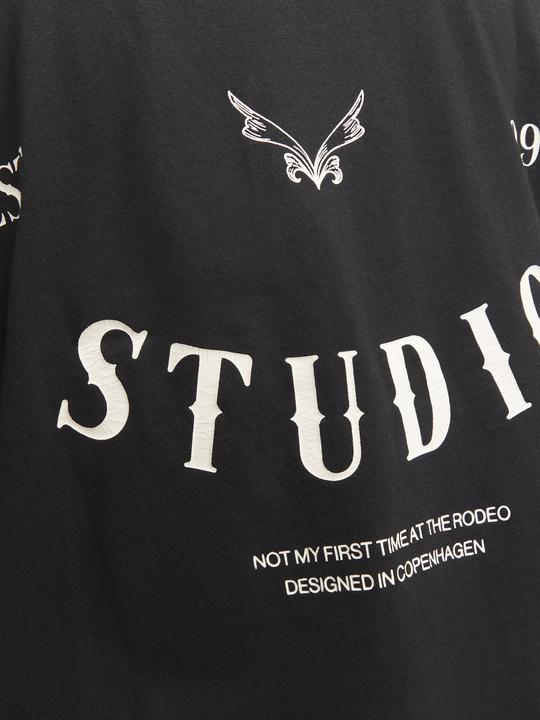 Actual product image Jack & Jones Joraustin Font Tee Ss C.N Styd Aw24 (M)