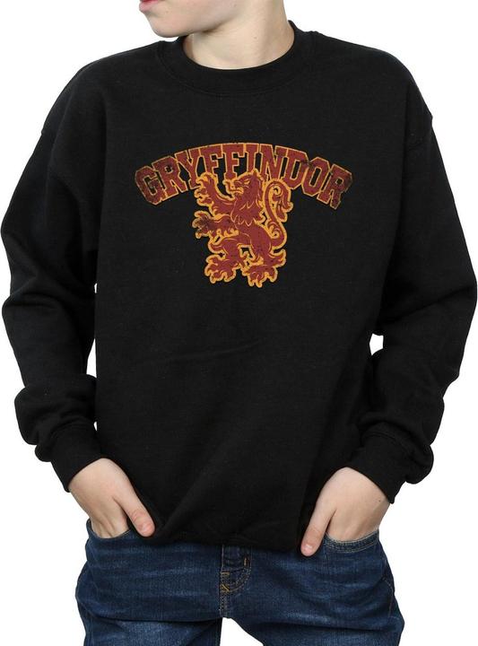 Image du produit - Sweat GRYFFINDOR SPORT EMBLEM - Garçon (152, 158)