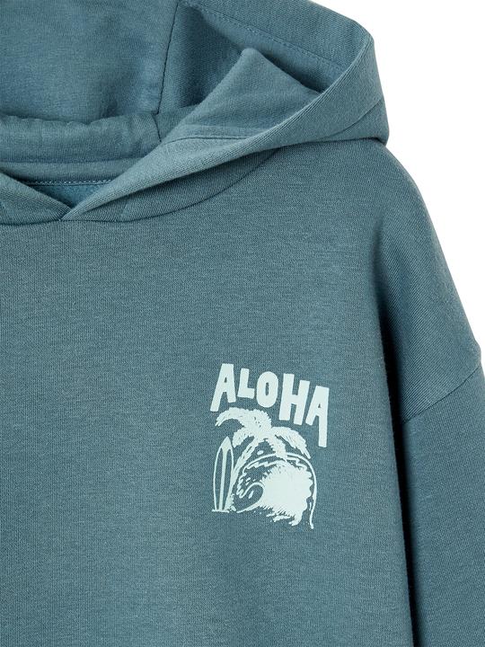 Image du produit Vertbaudet Jungen Kapuzensweatshirt mit Print, Recycling-Polyester Basic (92)