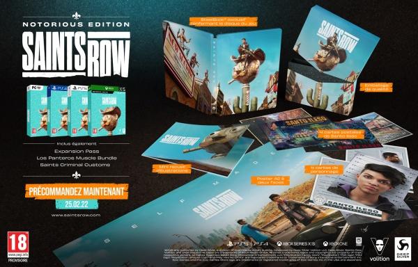 Produktbild Deep Silver Saints Row Notorious Edition (PC, FR)