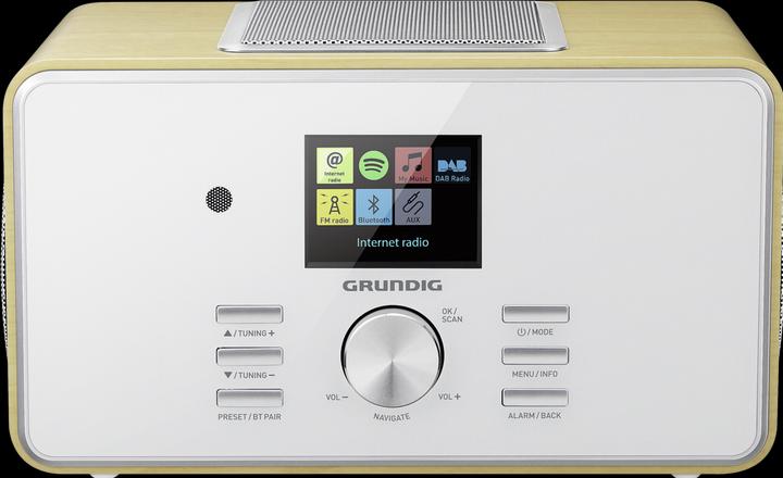 Grundig DTR 6000 2.1 BT DAB+ WEB (Internetradio, DAB+, FM, WLAN, Bluetooth)