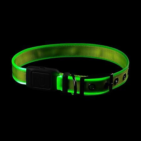 Immagine prodotto Nite Ize Collare a LED ricaricabile NiteDog™ L (23, 24, Cane)
