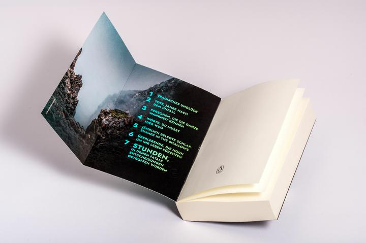 Actual product image SIEBEN STUNDEN. Wen würdest du retten? (Megan Miranda, German)