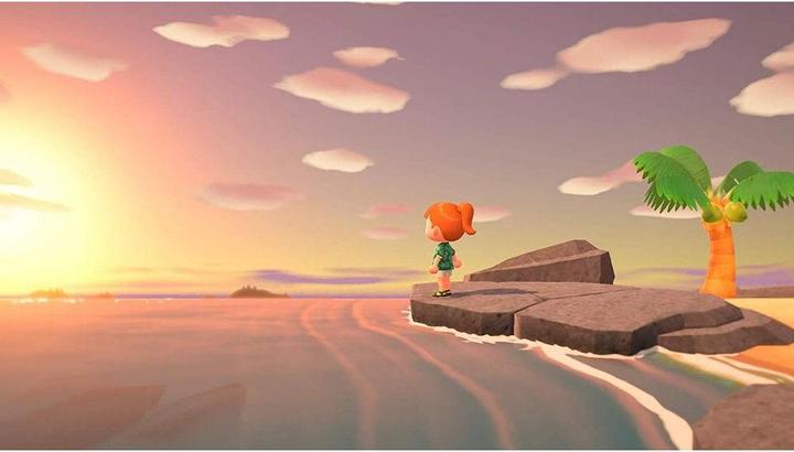 Actual product image Nintendo Animal Crossing: New Horizons (Switch, Multilingual)