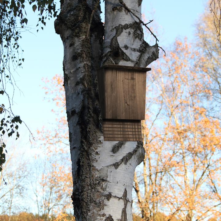 Actual product image Relaxdays Bat box