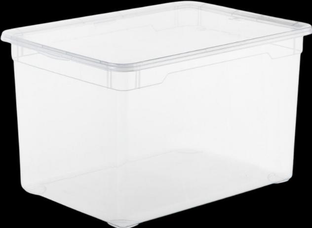 Image du produit Rotho Clair (55 x 37.5 x 32 cm, 46 l)