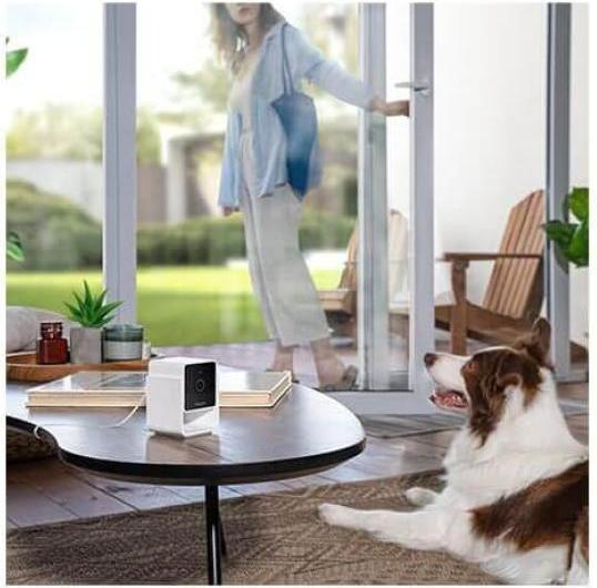 Produktbild Petcube Haustierkamera (Katzenminzespielzeug)