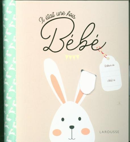 Image du produit Larousse pratique Il était une fois bébé (Français, Collectif, 2020)