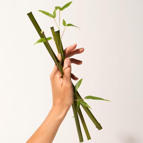 Produktbild Erborian Bamboo Waterlock (80 ml)