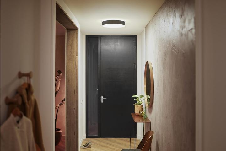 Productafbeelding Philips Hue Hue White Ambiance Enrave (2400 lm)