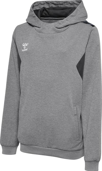 hummel Hmlauthentic Pl Hoodie Kids