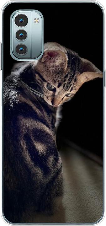 Young cat