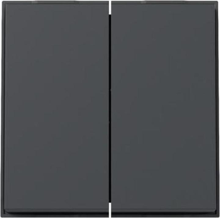 Actual product image Gira Rocker 2f TX 44 (WG UP) 329567 Anthracite