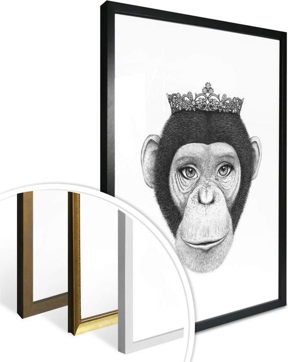 Actual product image Trenddeko The Queen Monkey (60 x 80 cm)