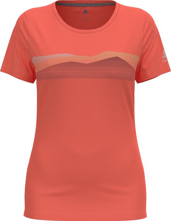 Actual product image Odlo F-Dry (M)