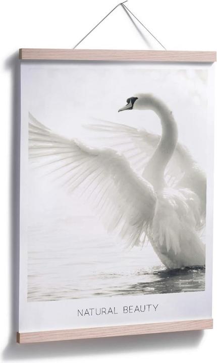 Actual product image Trenddeko Majestic swan - Natural Beauty (40 x 50 cm)