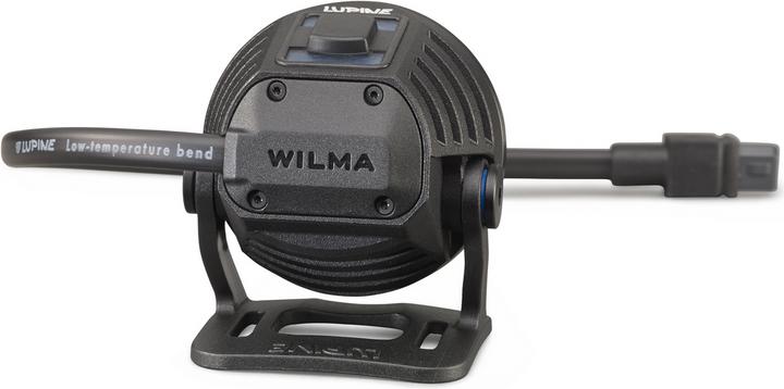 Lupine Wilma 7