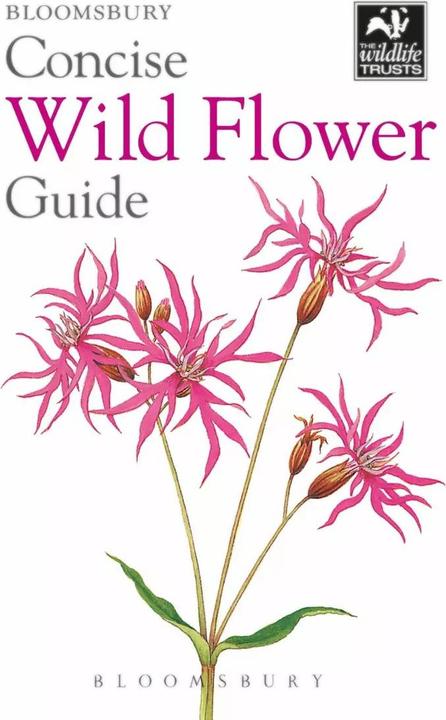 Actual product image Concise Wild Flower Guide (English, Bloomsbury, 2018)