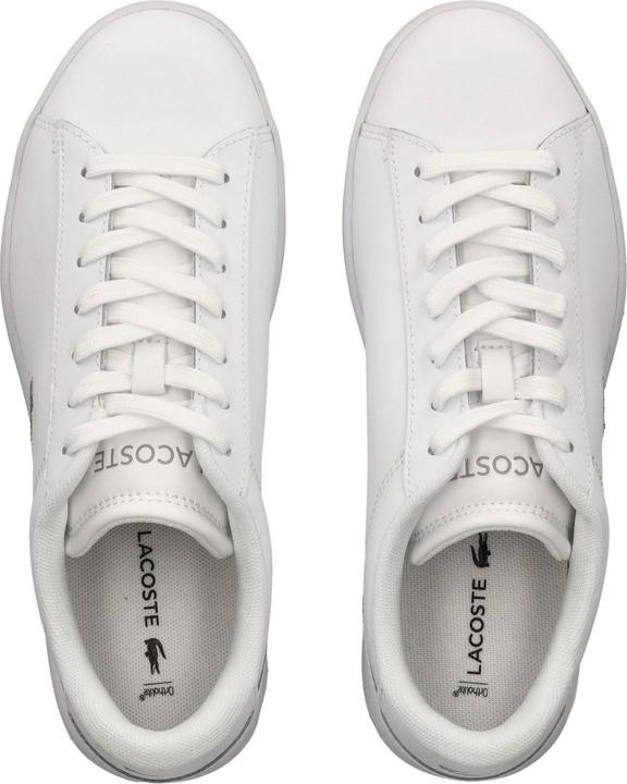 Image du produit Lacoste Sneaker (37)