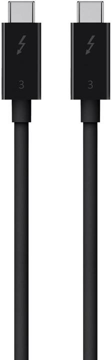 Produktbild Belkin USB C – USB C (0.80 m, USB 3.1)