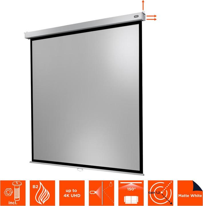 Immagine prodotto Celexon Professionale Plus (84", 1:1)
