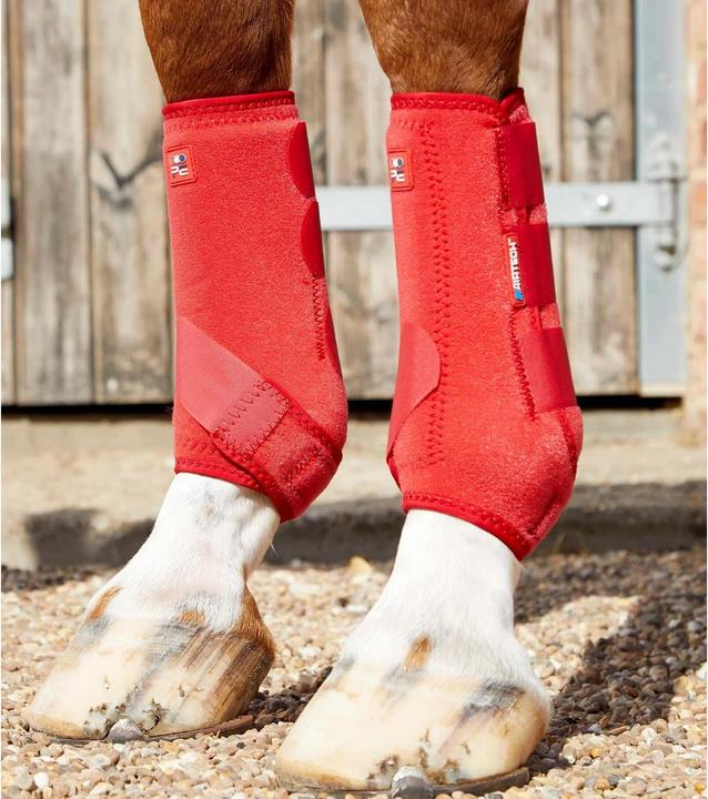 Premier Equine gaaschen preier equine air-tech sports edecine
