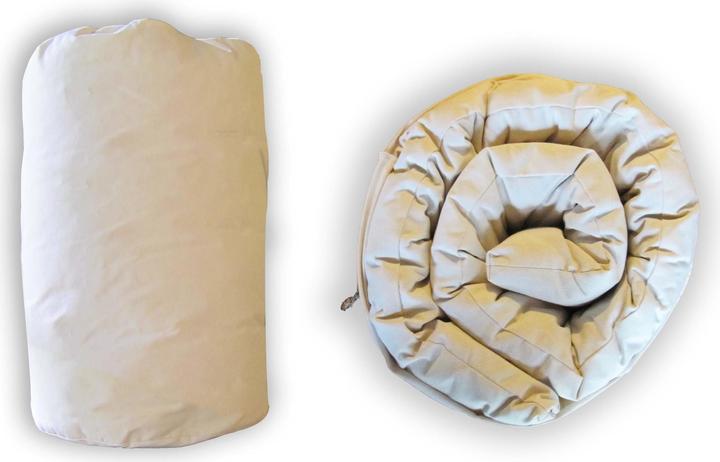 Image du produit Europe & Nature Futon In A Bag (90 x 200 cm, Noyau naturel)