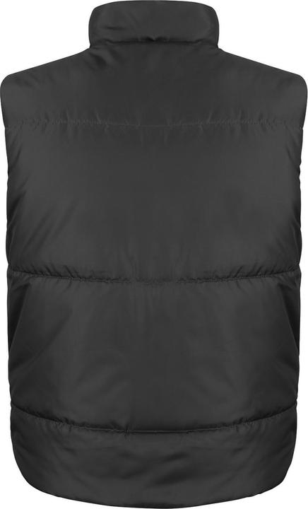 Immagine prodotto Regatta Gilet Foderata in Pile Adulto Unisex (L)