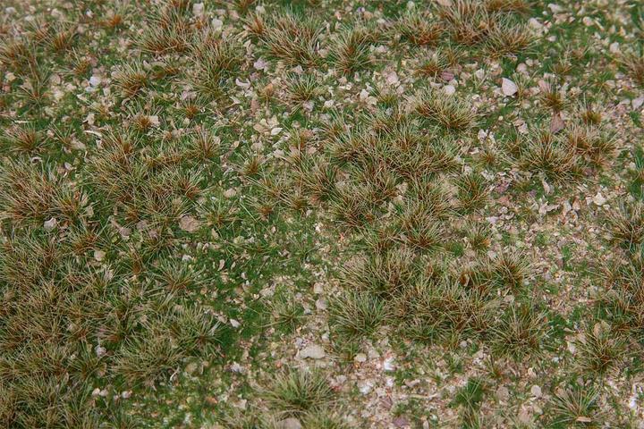Produktbild Faller Landschafts-Segment Wildkräuterwiese DIN A5