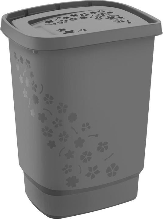 Image du produit Rotho Fleurs (55 l)