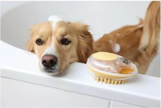 Produktbild Kerbl Badebürste (Hund, Katze)